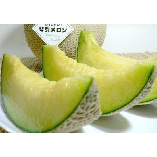 メロン あみの琴引メロン ことびきめろん LAサイズ 2個入り 京都
