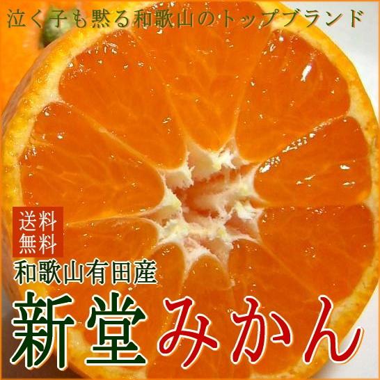 みかん 訳あり 新堂みかん しんどうみかん 約2.5kg サイズはお任せ 2S〜2L 16〜40個前後入り 送料無料 和歌山産 有田 蜜柑 ミカン アウトレット わけあり｜tobaisa