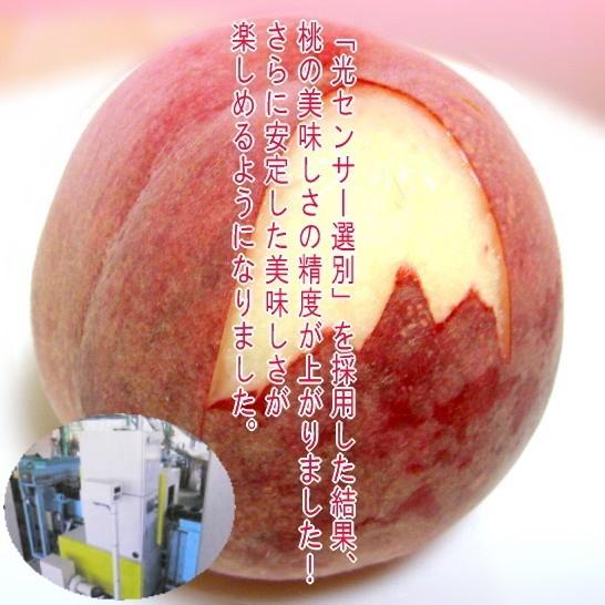 新鮮な桃 約5キロ 葉付き 新鮮な桃 5キロ