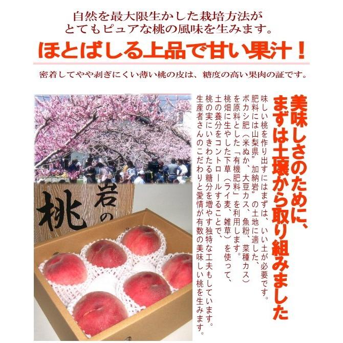 もも 加納岩果樹園の桃 約5kg 大玉 13個入り 山梨産 第一回農林
