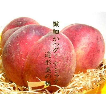和歌山の桃 13個入り 楽天市場】【送料無料】和歌山の桃 13〜15玉 約5キロ 秀品