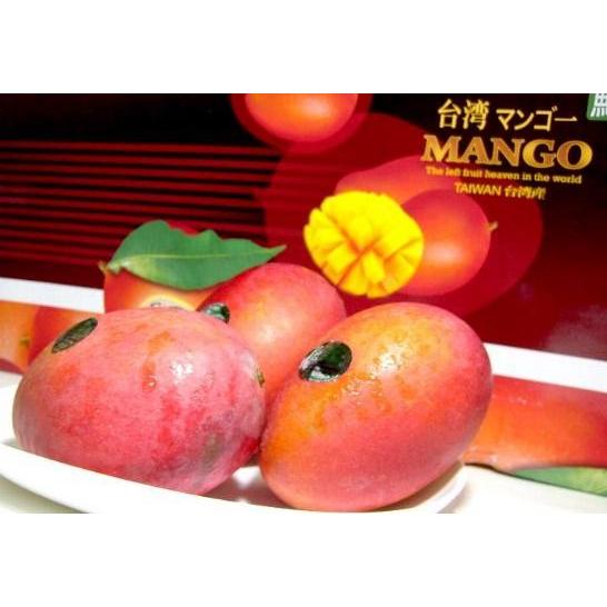 マンゴー 台湾産 マンゴー 大玉 6 7個入り アップルマンゴー 台湾マンゴー お中元 ギフト プレゼント Taiwanmango 6c 京の老舗の果物屋 鳥羽伊三 通販 Yahoo ショッピング