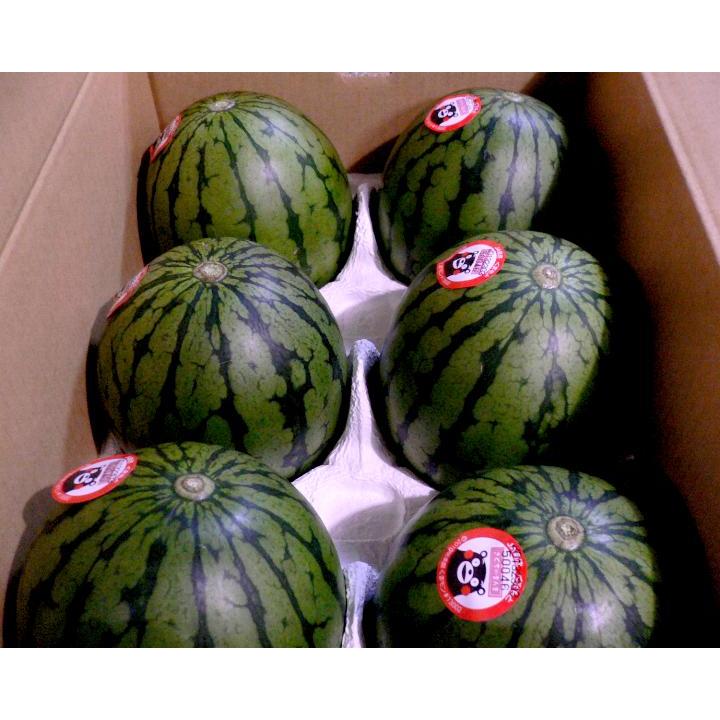 熊本スイカ6個 【公式通販】