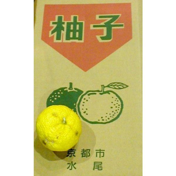 お盆限定ゆずレアピック（ゆずのね） ゆず酢＜150㎖＞ – 鶴兆 ONLINE SHOP
