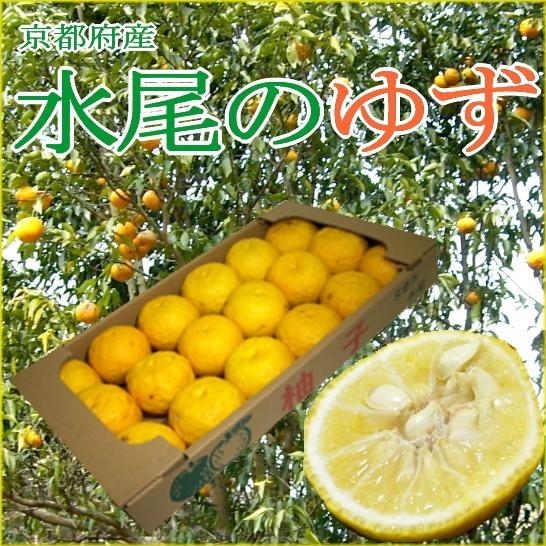 ゆず 水尾の柚子 みずおのゆず 約1 5kg 小玉 18個 21個前後入り 京都産 ご当地 お取り寄せ ユズ Yuzu Kyotomizuo 15k S18 京の老舗の果物屋 鳥羽伊三 通販 Yahoo ショッピング