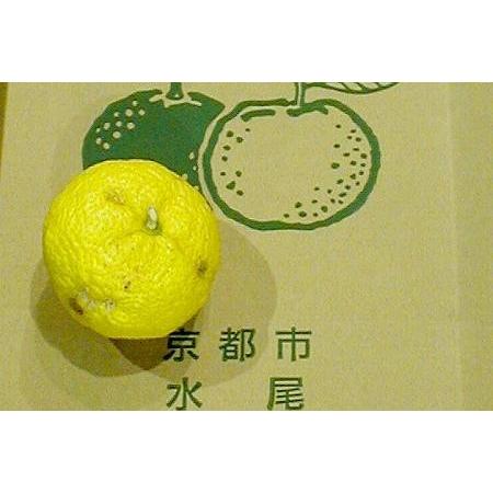 ゆず 水尾の柚子 みずおのゆず 約1 5kg 小玉 18個 21個前後入り 京都産 ご当地 お取り寄せ ユズ Yuzu Kyotomizuo 15k S18 京の老舗の果物屋 鳥羽伊三 通販 Yahoo ショッピング