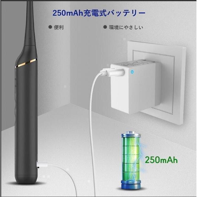 超音波ペット用スケーラー 歯石除去 器具 楽天市場】Petden PLUS ペットデンプラス ペットの歯垢 歯石