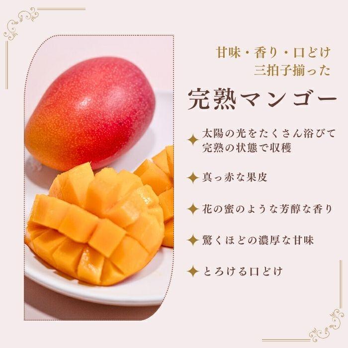 お中元【ミニ】宮崎県産 完熟マンゴー 2玉入り マンゴー 宮崎