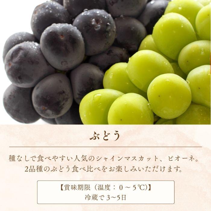 季節のフルーツセットB（りんご / みかん / ぶどう2品種） |  | 01