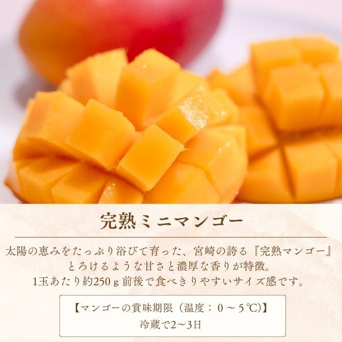 季節のフルーツセットB（りんご / みかん / ぶどう2品種） |  | 02