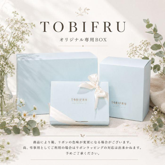 季節のフルーツセットB（りんご / みかん / ぶどう2品種） |  | 05