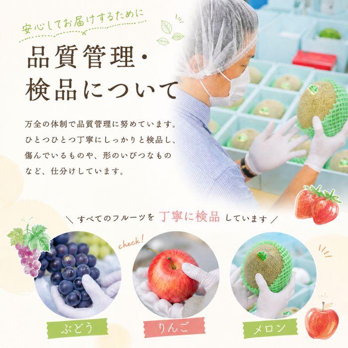 季節のフルーツセットB（りんご / みかん / ぶどう2品種） |  | 07