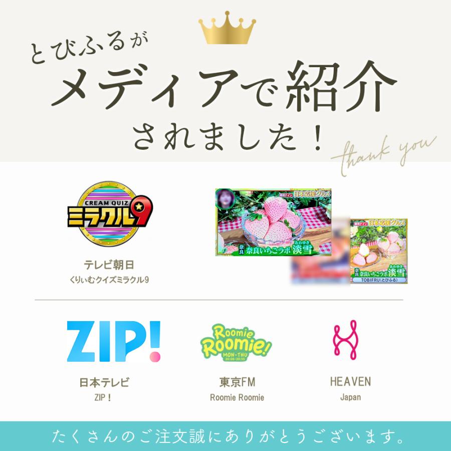 季節のフルーツセットB（りんご / みかん / ぶどう2品種） |  | 06