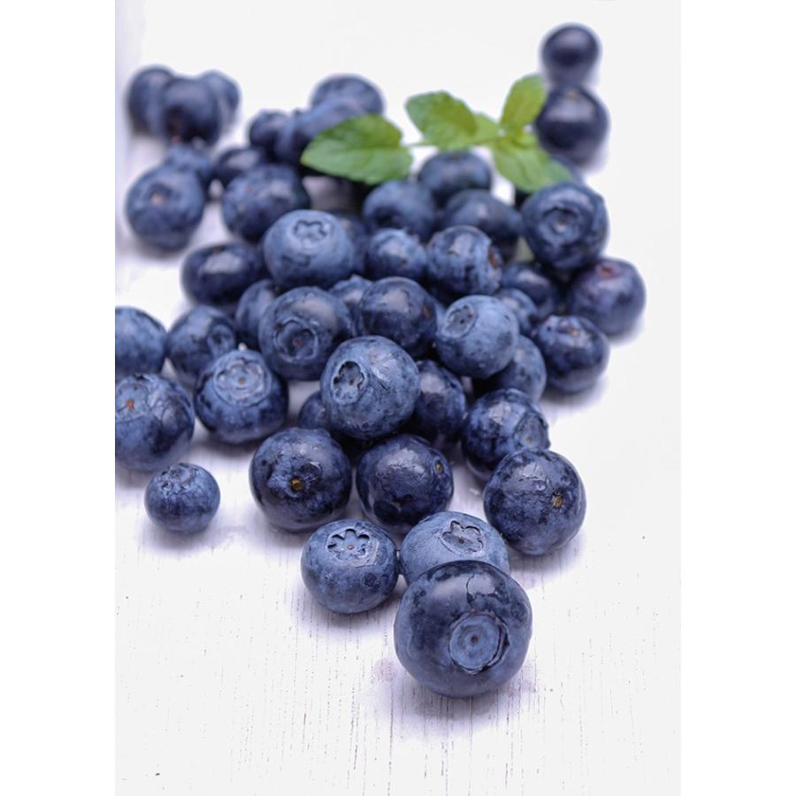 ハロウィン 広島県大崎上島のブルーベリーのぶるべりげ Paypay残高払 結婚式 手作り 500円 ギフト ポイント消化 人気 まとめ買い ちょこっと お返し 退職祝い Mgb 01 とびしま柑橘工房 通販 Yahoo ショッピング