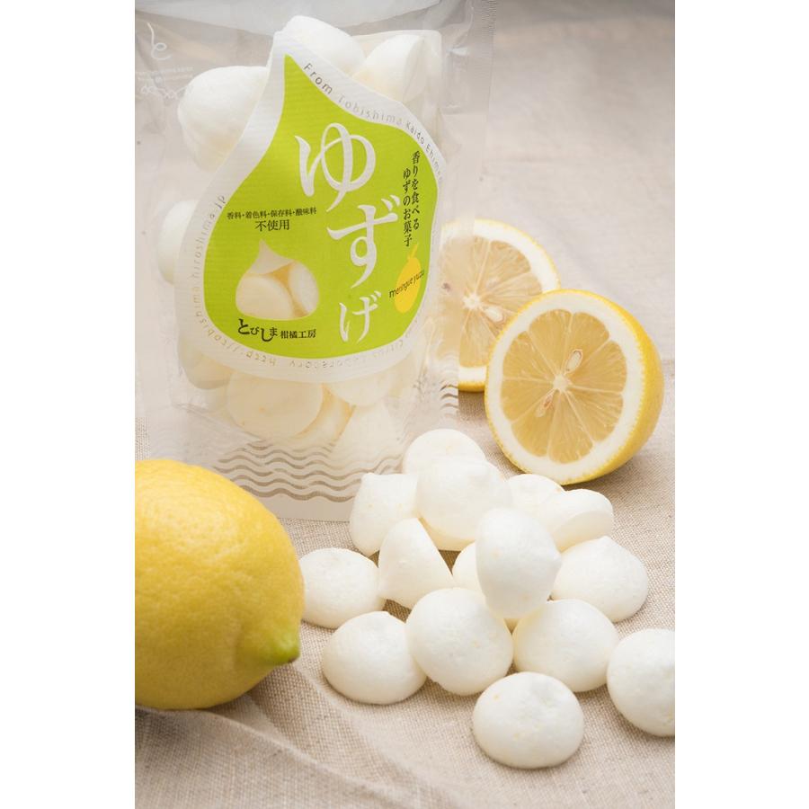 母の日 広島県三次市作木町産柚子を使ったゆずげ Paypay残高払 結婚式 手作り 500円 プチギフト ギフト ポイント消化 人気 まとめ買い ちょこっと Mgy 01 とびしま柑橘工房 通販 Yahoo ショッピング