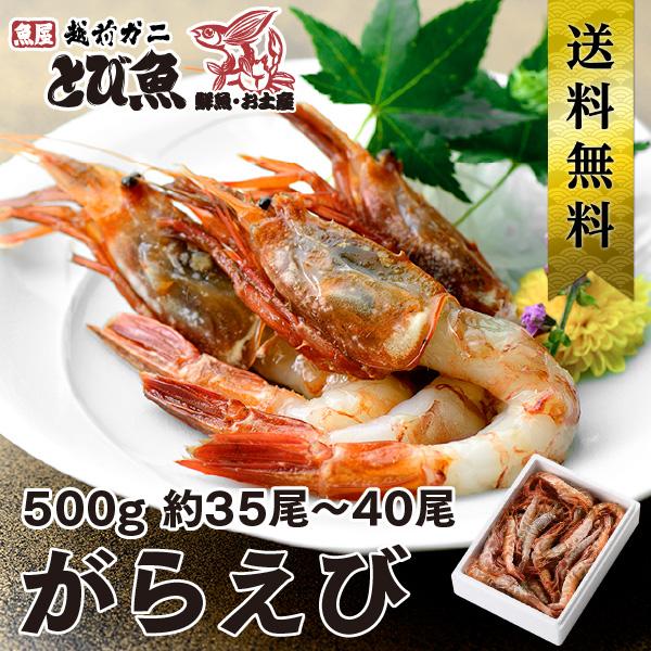 国産 福井県産 越前 がらえび 500g 約35-40尾 日本海 柄エビ 柄海老