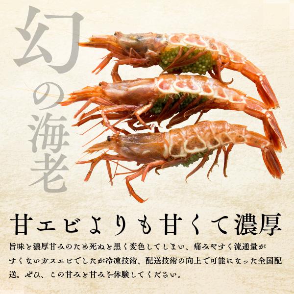 国産 福井県産 越前 がらえび 500g 約35-40尾 日本海 柄エビ 柄海老