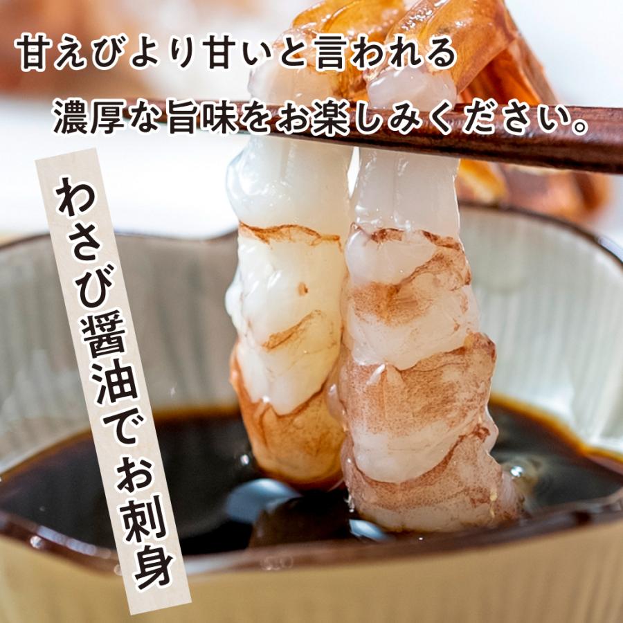 国産 福井県産 越前 がらえび 500g 約35-40尾 日本海 柄エビ 柄海老