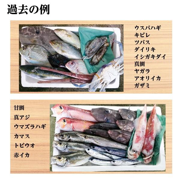 魚　鮮魚　トレー　店舗用品　緑色 3個セット 魚 鮮魚 トレー 店舗用品 緑色 3個セット