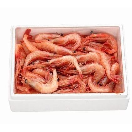 たっぷり 福井県産 甘えび 子なし 1kg 約100尾 50尾 2 お刺身 生食可 甘海老 甘エビ アマエビ ホッコクアカエビ 鮮度抜群 船上凍結 日本海産 送料無料 Amaebis1kg 魚屋 とび魚 通販 Yahoo ショッピング
