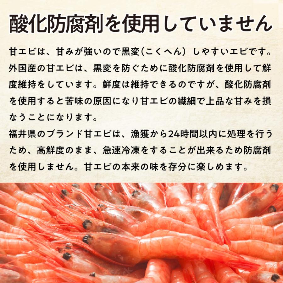 たっぷり 福井県産 甘えび 子なし 1kg 約100尾 (50尾×2) お刺身 生食可 甘海老 甘エビ アマエビ ホッコクアカエビ 鮮度抜群 船上凍結 日本海産 送料無料 |  | 03