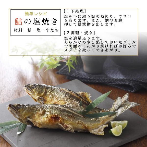 高鮮度 養殖 鮎(アユ) 1kg(8-16尾) あゆ 鮎 アユ 生鮮 生 香魚 期間