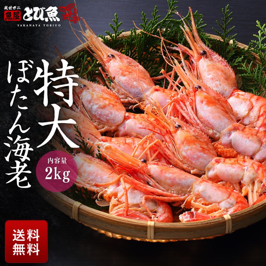 特大 ボタンエビ 子持ち 大容量 満足2kg (32から40尾前後) お刺身 生食