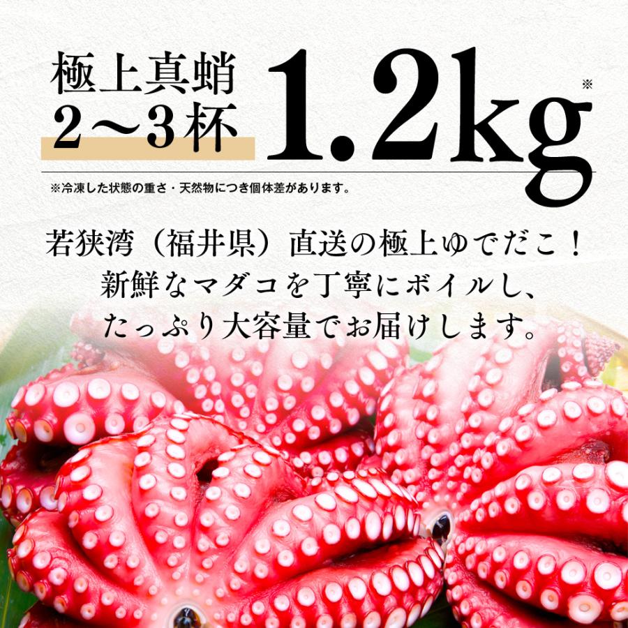 【送料無料】若狭湾産 ゆでだこ 約1.2kg (2〜3杯) ボイル済み 国産 冷凍 真ダコ タコつぼ漁 刺身用 おつまみ サラダ たこ焼き 高たんぱく 低カロリー btako2505 |  | 01