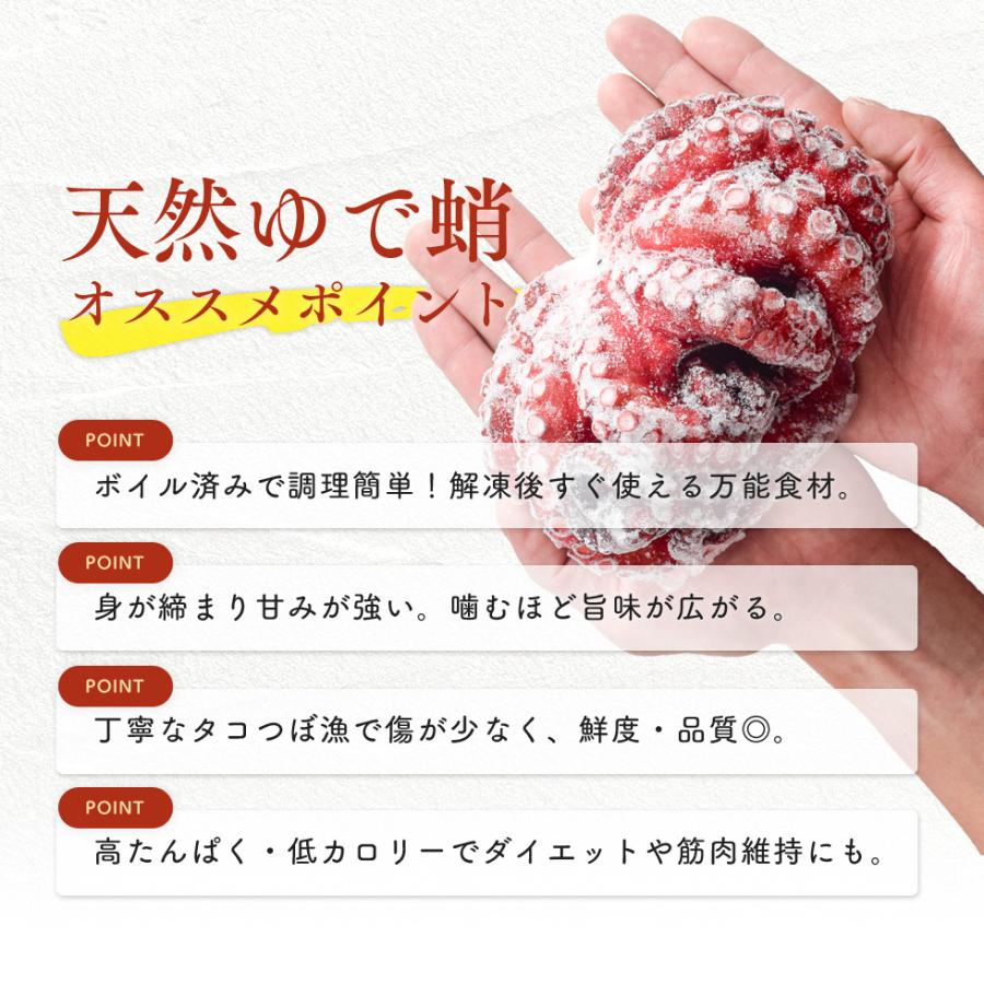 【送料無料】若狭湾産 ゆでだこ 約1.2kg (2〜3杯) ボイル済み 国産 冷凍 真ダコ タコつぼ漁 刺身用 おつまみ サラダ たこ焼き 高たんぱく 低カロリー btako2505 |  | 09