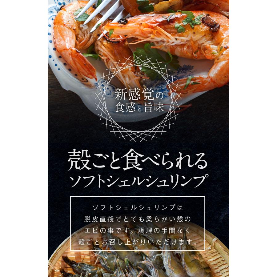 ソフトシェルシュリンプ 500g (約20尾) 高級ブラックタイガー使用 特大