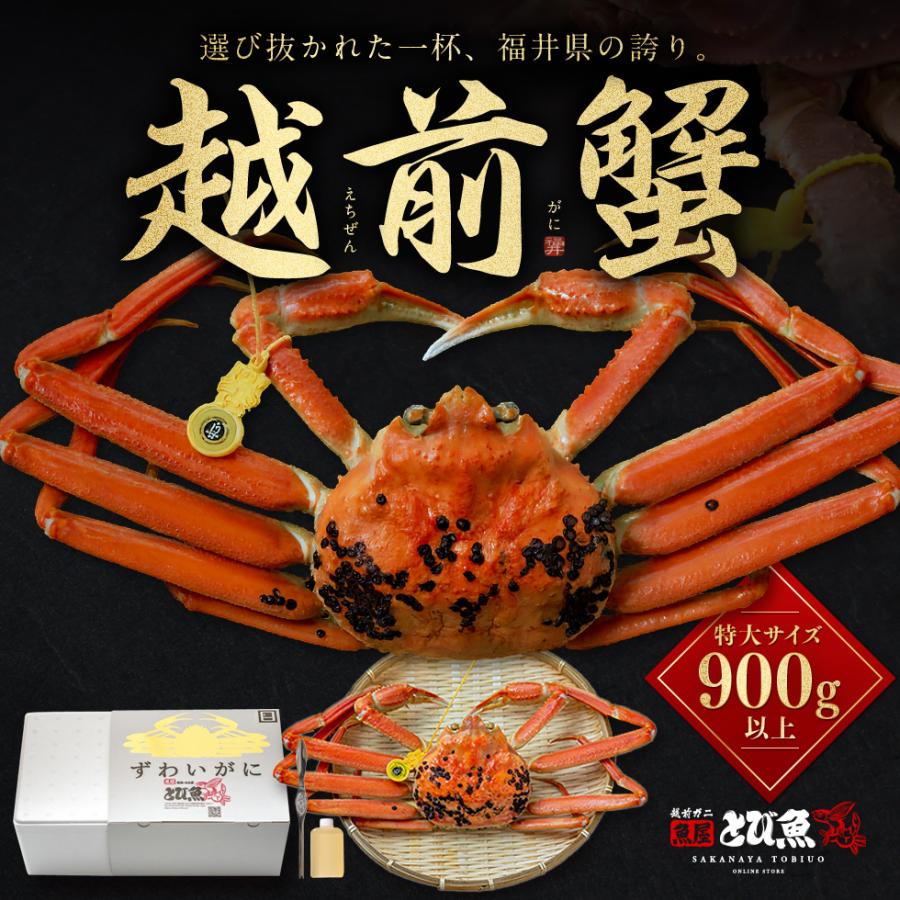 訳あり 越前ガニ 900g以上 未冷凍 (活 ボイルから選べる)  脚折れ etz-900w | 