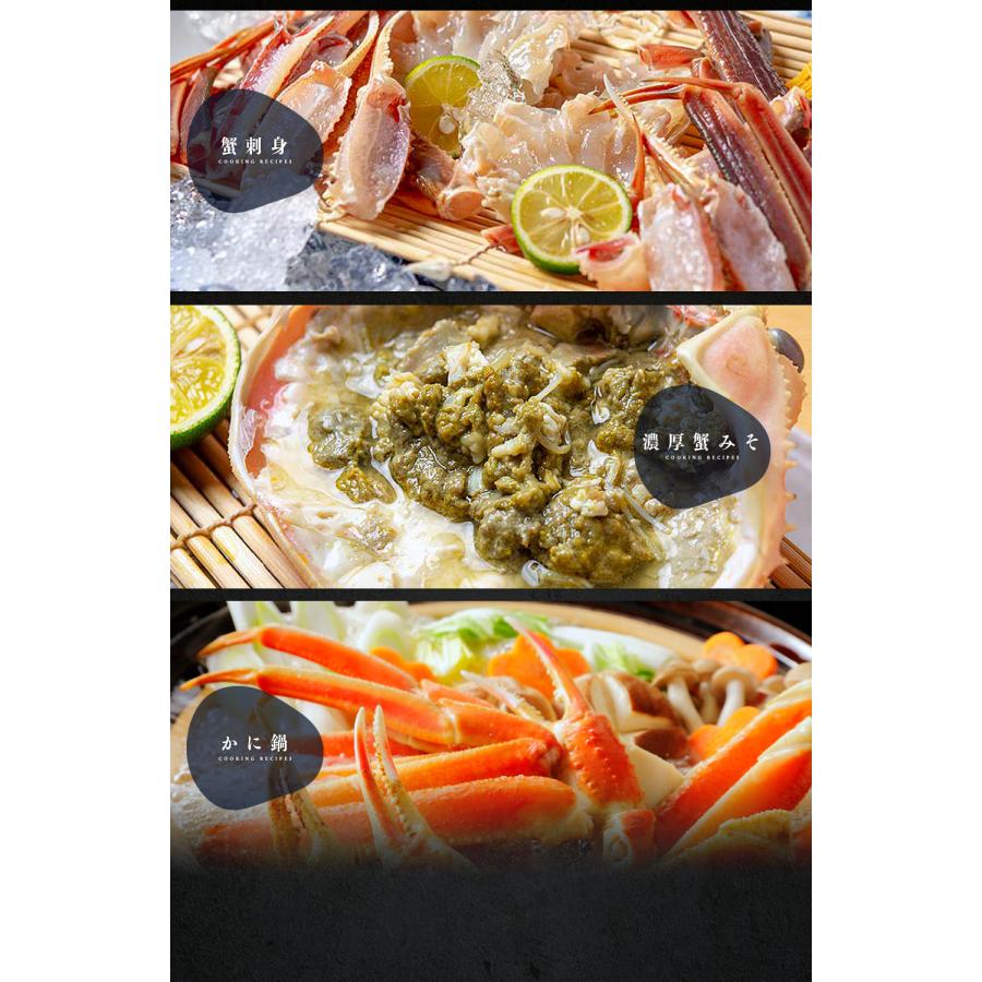 訳あり 越前ガニ 900g以上 未冷凍 (活 ボイルから選べる)  脚折れ etz-900w |  | 10