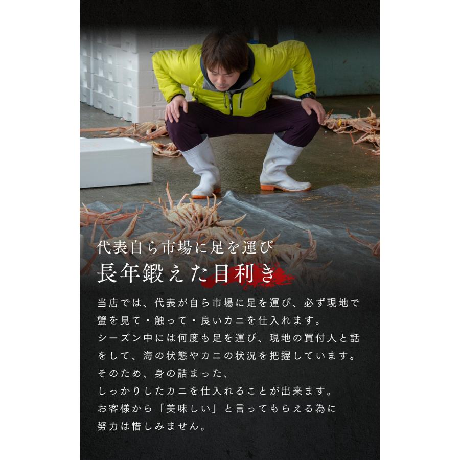訳あり 越前ガニ 900g以上 未冷凍 (活 ボイルから選べる)  脚折れ etz-900w |  | 13