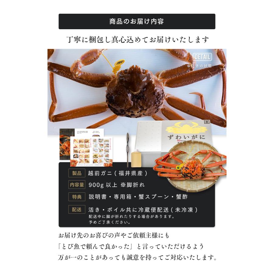 訳あり 越前ガニ 900g以上 未冷凍 (活 ボイルから選べる)  脚折れ etz-900w |  | 18