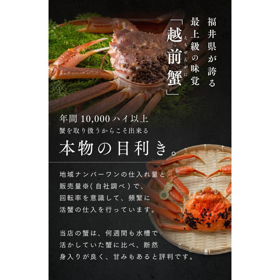 訳あり 越前ガニ 900g以上 未冷凍 (活 ボイルから選べる)  脚折れ etz-900w |  | 02