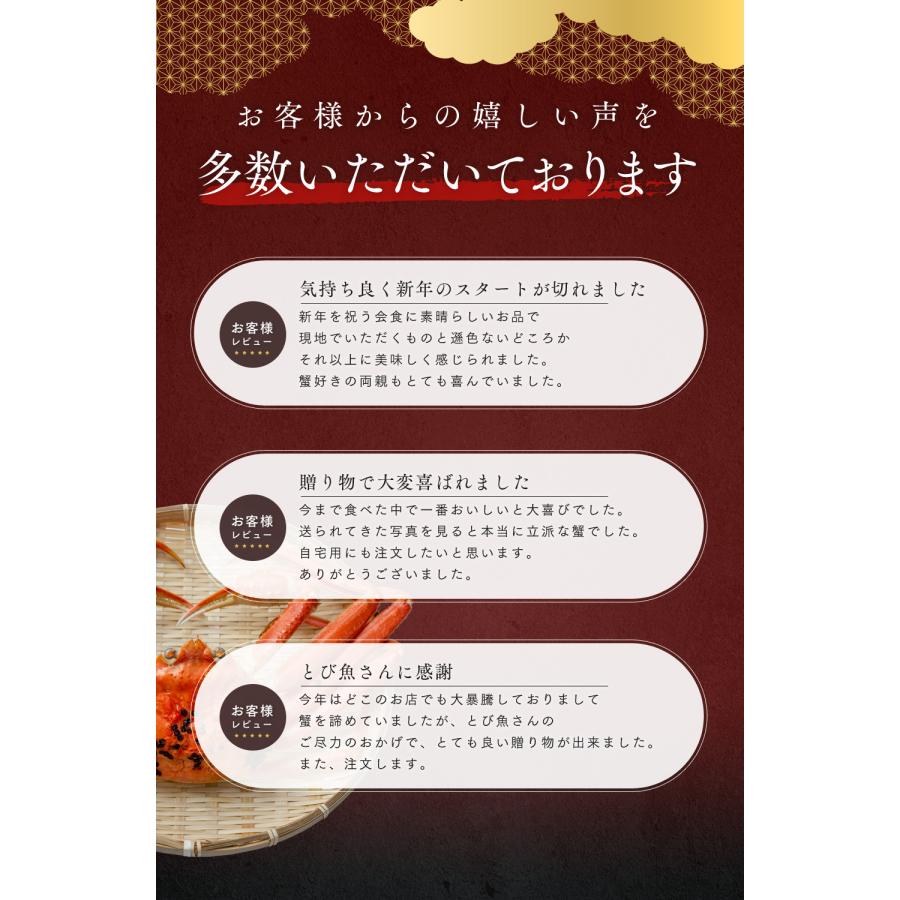訳あり 越前ガニ 900g以上 未冷凍 (活 ボイルから選べる)  脚折れ etz-900w |  | 05