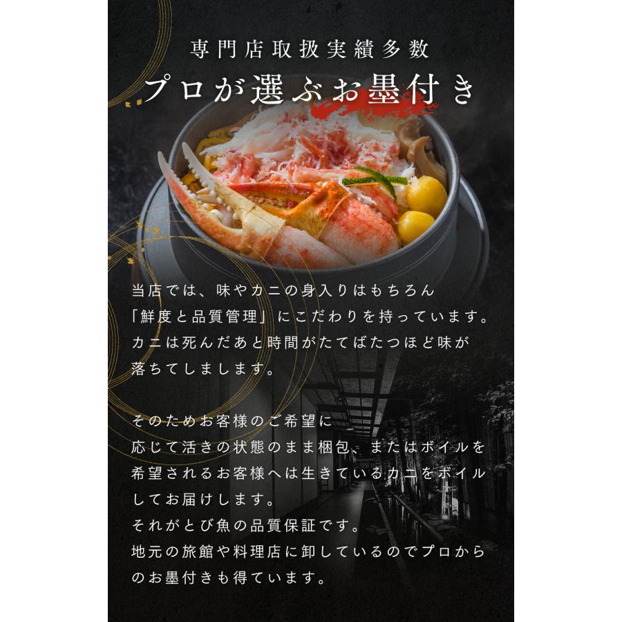 訳あり 越前ガニ 900g以上 未冷凍 (活 ボイルから選べる)  脚折れ etz-900w |  | 06