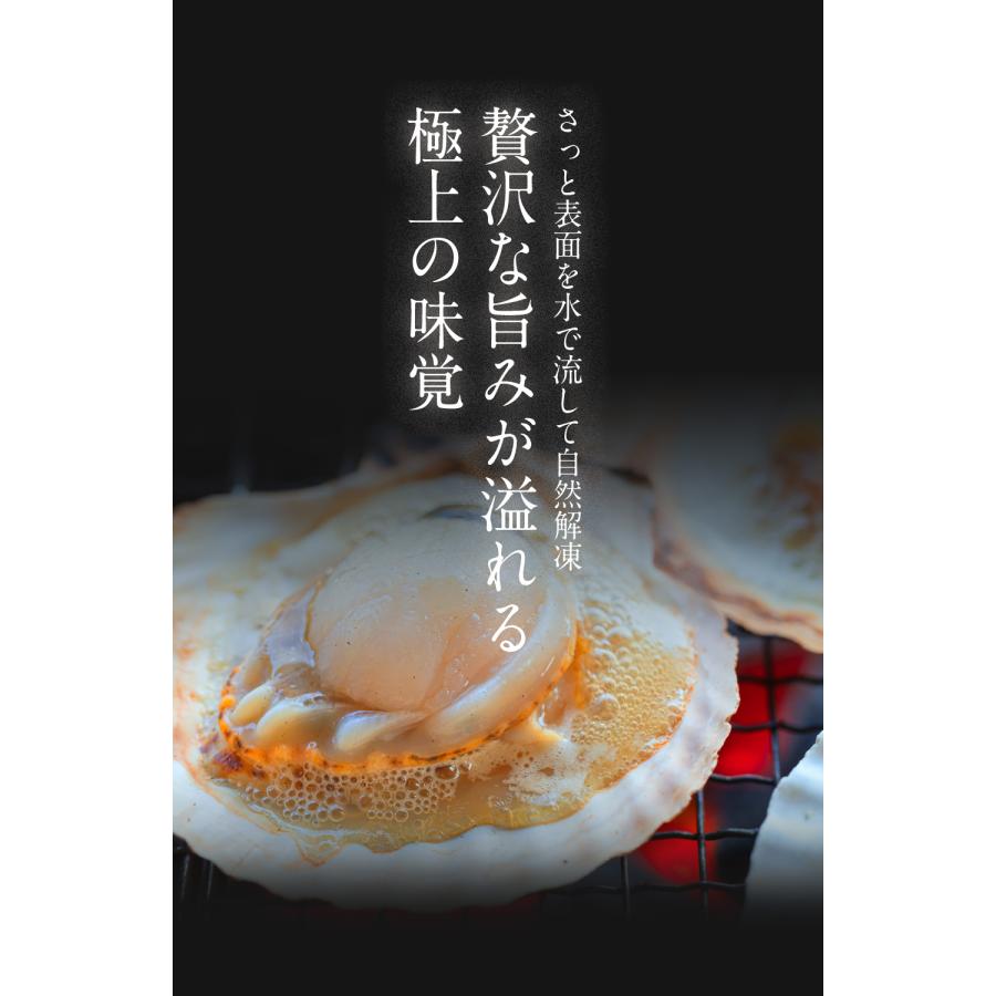 ほたて ホタテ 片貝 10枚入 北海道産 加熱用 殻付き 冷凍 : 魚屋 とび
