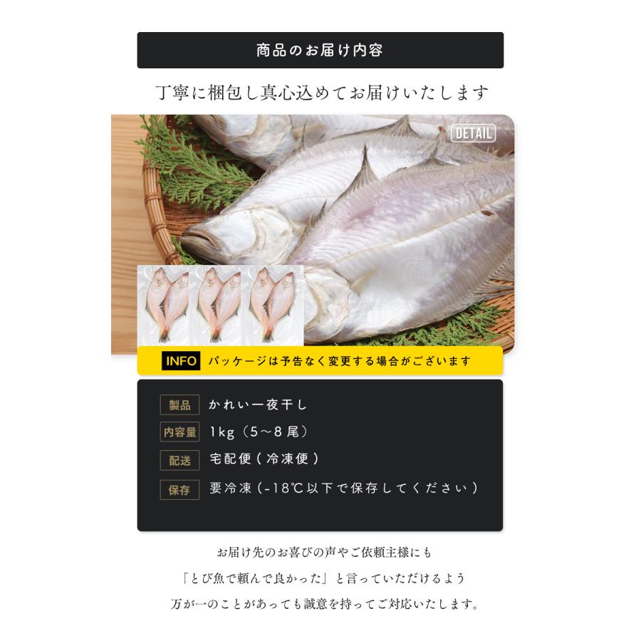 【送料無料】国内 工場直送 若狭湾産 かれい一夜干し 1kg（5〜8尾）無添加 天日干し 国産 白かれい karei2601 |  | 04
