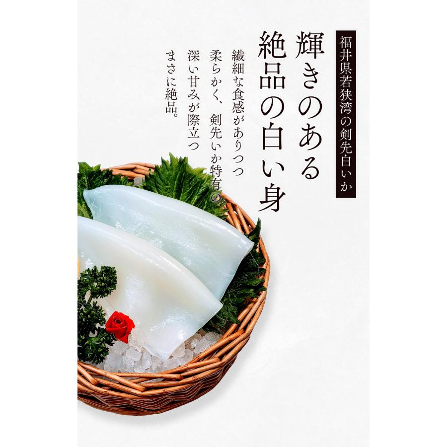 水揚次第発送 ] 【朝どれ 産地直送】剣先白いか 生 1kg (3〜6杯) 生