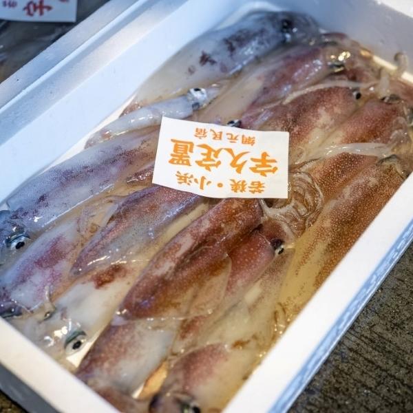 剣先いか 赤いか ケンサキイカ 2kg 6 12杯 国産 若狭湾又は九州地方 入荷次第発送 送料無料 Kensakiika2kg 魚屋 とび魚 通販 Yahoo ショッピング