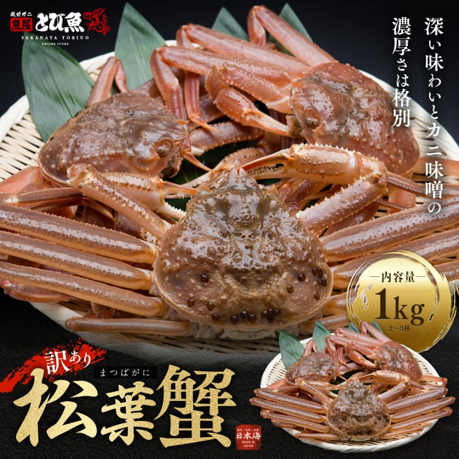 松葉ガニ　訳あり 訳あり 松葉ガニ 足1本無し 姿500g～1.1kg（生またはボイル） | 魚倉