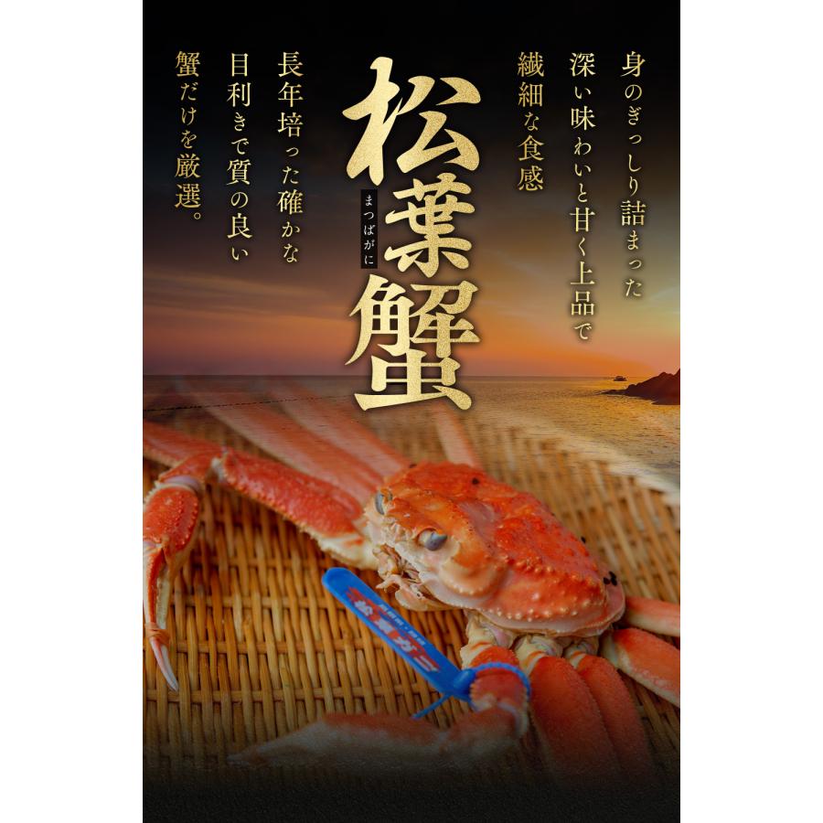 2024年1月8日以降配送 ] 訳あり 松葉ガニ 1kg (2〜3杯) 未冷凍
