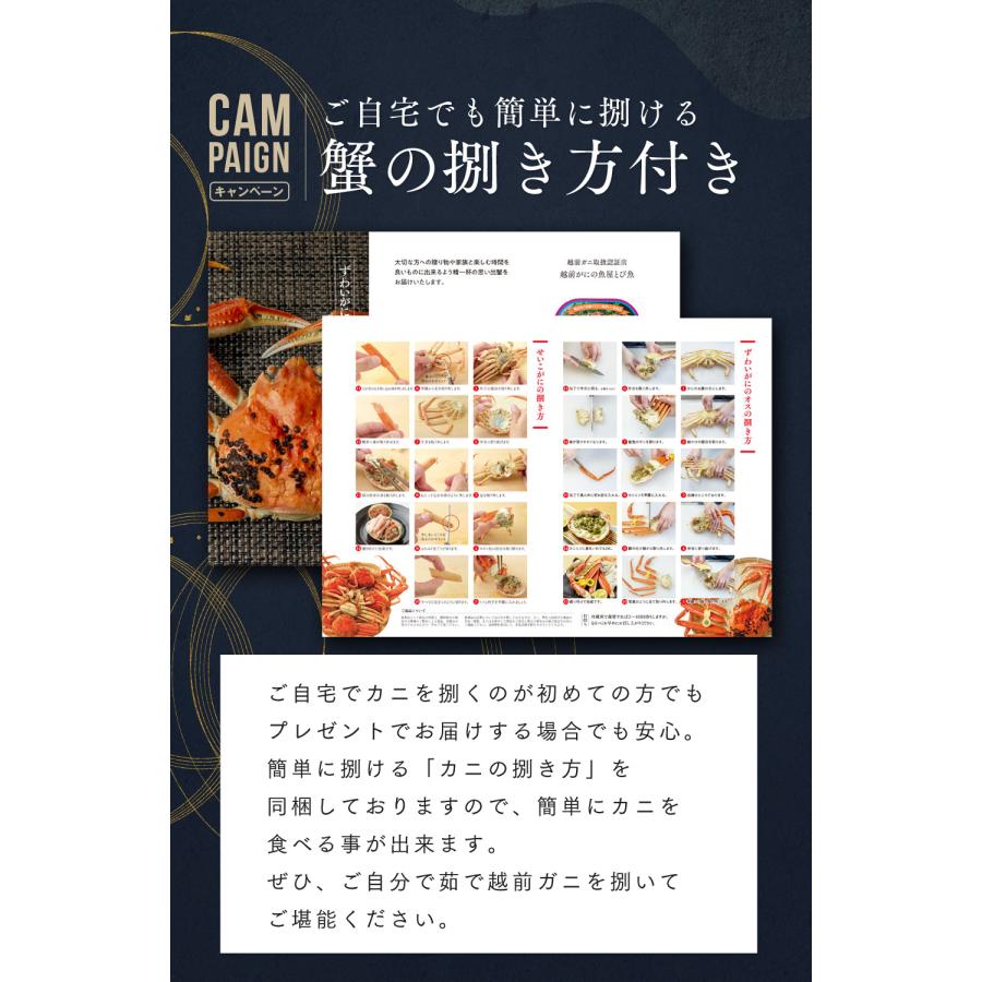 2024年1月8日以降配送 ] 松葉ガニ 600g 未冷凍 (活 ボイルから