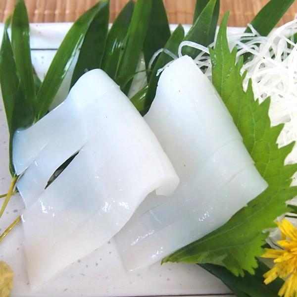 むき あおりいか 水いか アオリイカ 1kg 生食用 Mizuika1kg 魚屋 とび魚 通販 Yahoo ショッピング