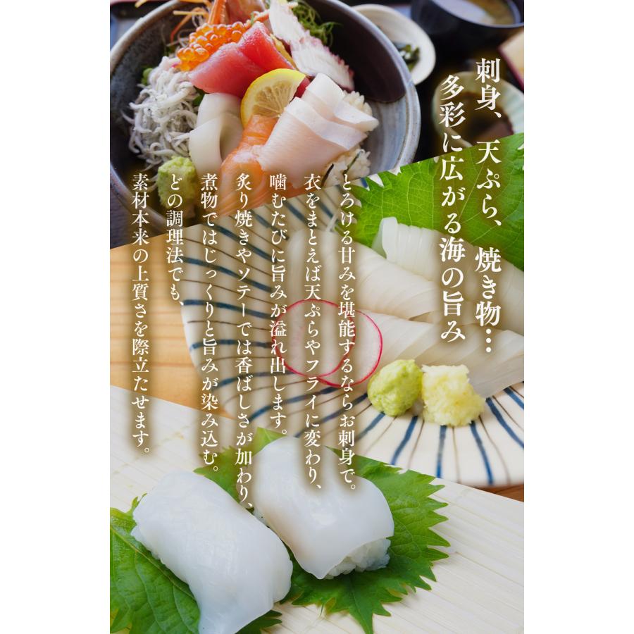 【送料無料】むき水イカ 500g 約6〜9尾入り アオリイカ 高級 海鮮 刺身用 皮むき不要 |  | 03