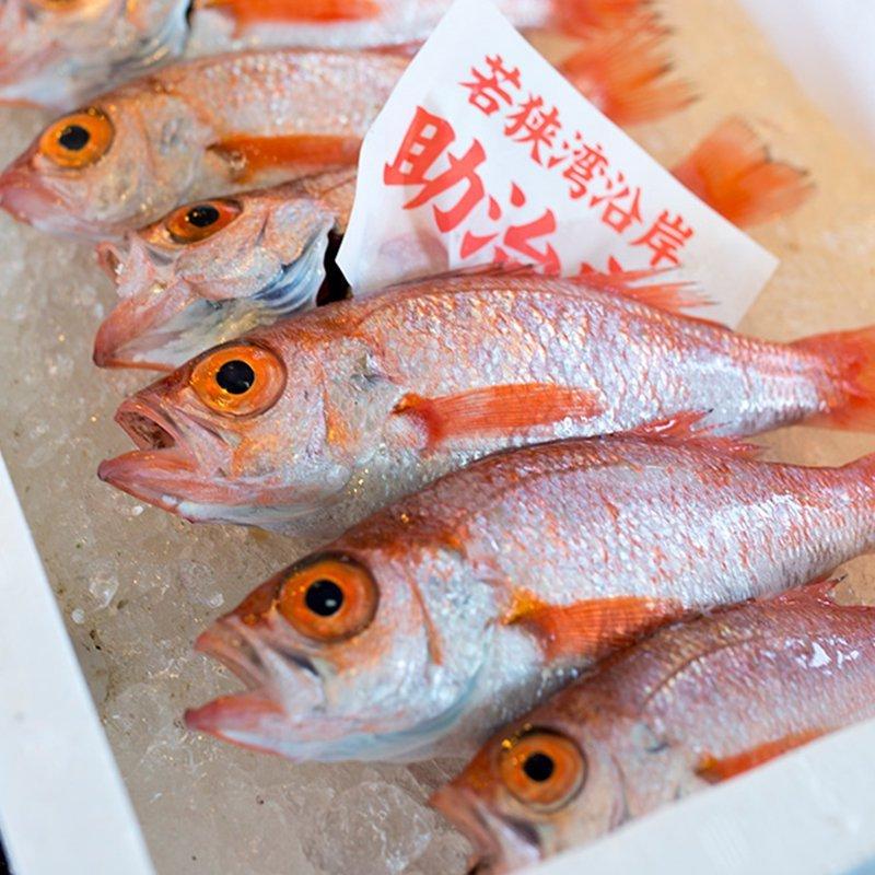 のどぐろ 500g 4尾前後 約15 cm ノドグロ アカムツ 天然 獲れたて 国産 生 送料無料 Nodoguro 魚屋 とび魚 通販 Yahoo ショッピング