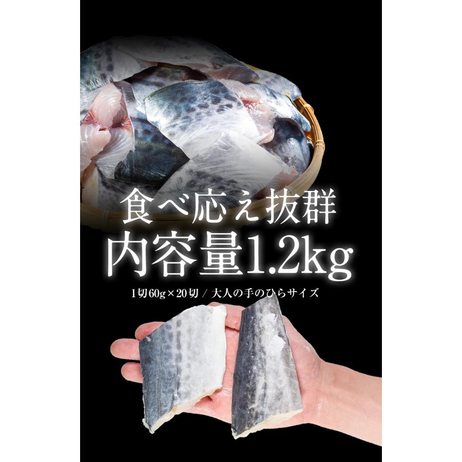 【漁師が選ぶ旨い魚】骨なし 無塩 サワラの切り身 1.2kg (20切)  サワラの塩焼き 西京焼き 鯖の塩焼き ムニエル フライ 竜田揚げ さわら｜tobiuo｜07