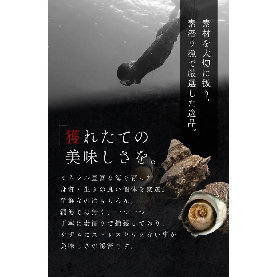 送料無料】福井県産 天然 活 サザエ 2kg (大サイズ約16個) 生食 刺身可