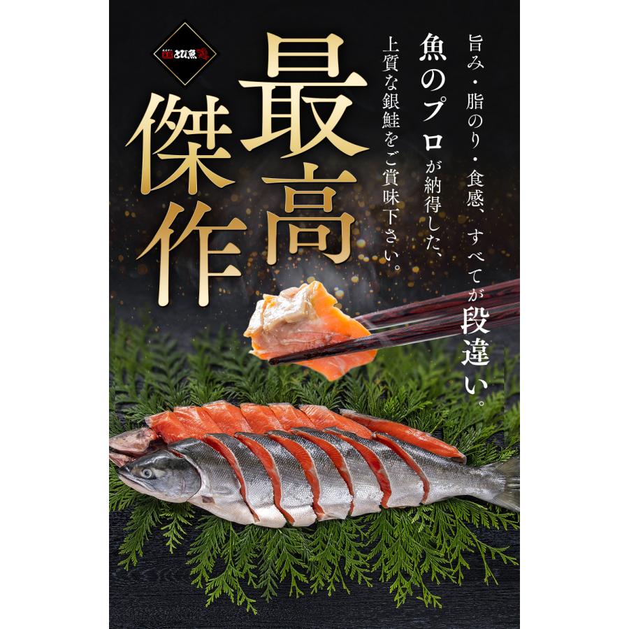 送料無料】銀鮭 切り身 無塩 選べる部位［ 背 腹・カマ・尾